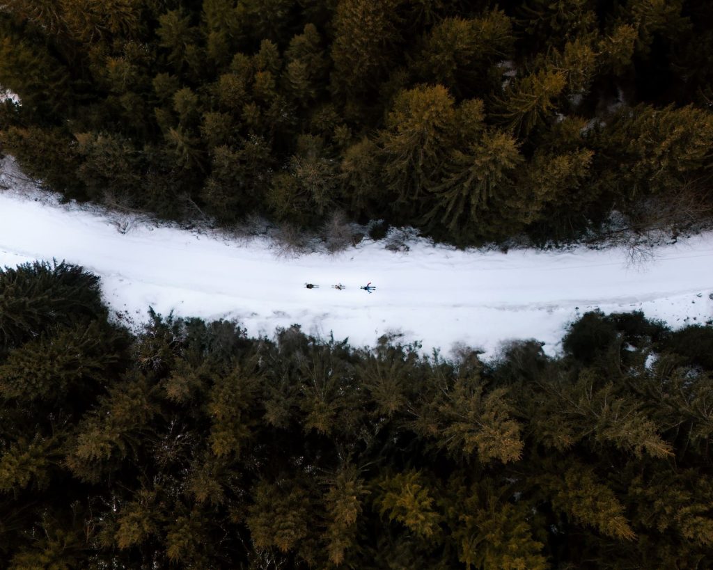 dji_fly_20250114_100502_0319_1736875196180_photo kopie